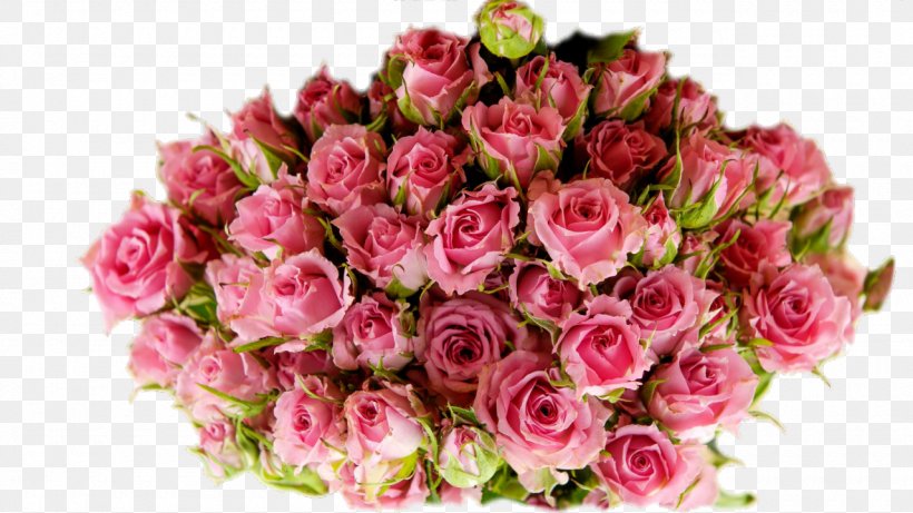 Garden Roses Herbal Tea Магазин китайского чая NewTea.ua Cabbage Rose, PNG, 1280x720px, Garden Roses, Cabbage Rose, Ceylan, Cultivar, Cut Flowers Download Free