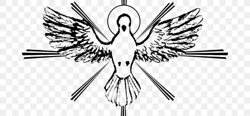 Spiritual Gift Holy Spirit Pentecost Eucharist Christianity, PNG, 678x381px, Spiritual Gift, Artwork, Baptism, Beak, Bird Download Free
