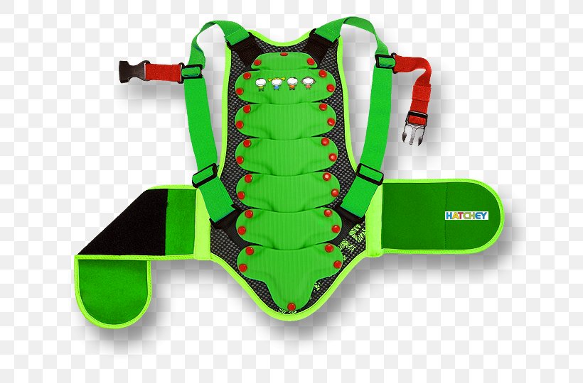 Vertebral Column Backprotector Snowboard Human Back Sport, PNG, 680x540px, Vertebral Column, Backprotector, Green, Heurekacz, Human Back Download Free