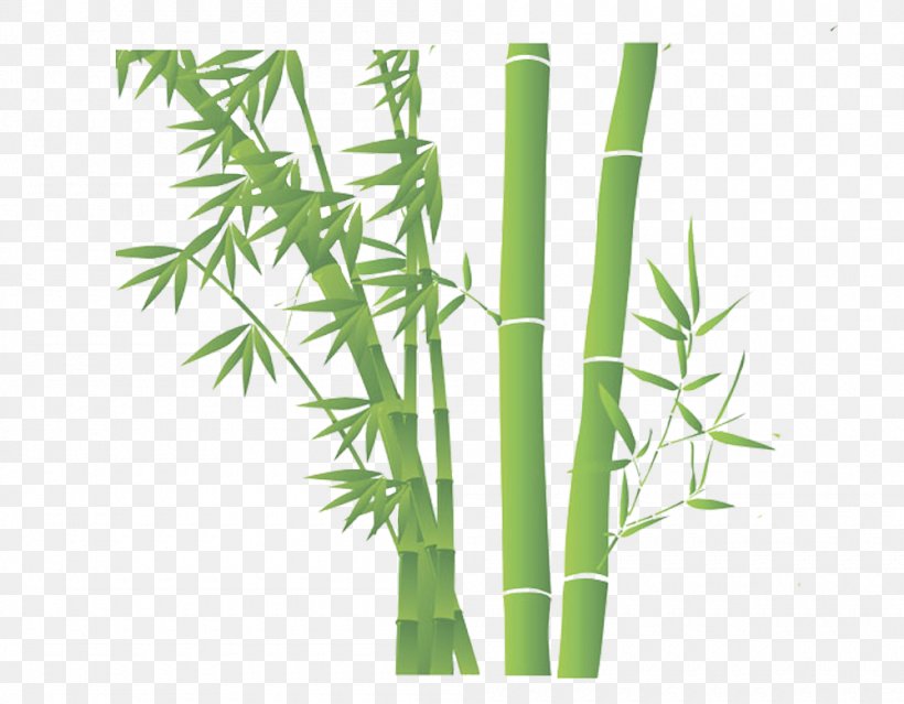 Bamboo Download, PNG, 1000x780px, Bamboo, Google Images, Grass, Grass Family, Pixel Download Free