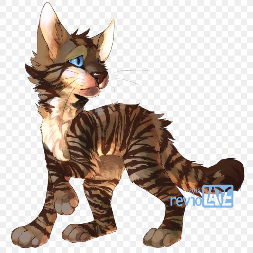 Into The Wild Warriors Littlecloud Whiskers ShadowClan, PNG, 894x894px, Into The Wild, Art, Book, Carnivoran, Cat Download Free