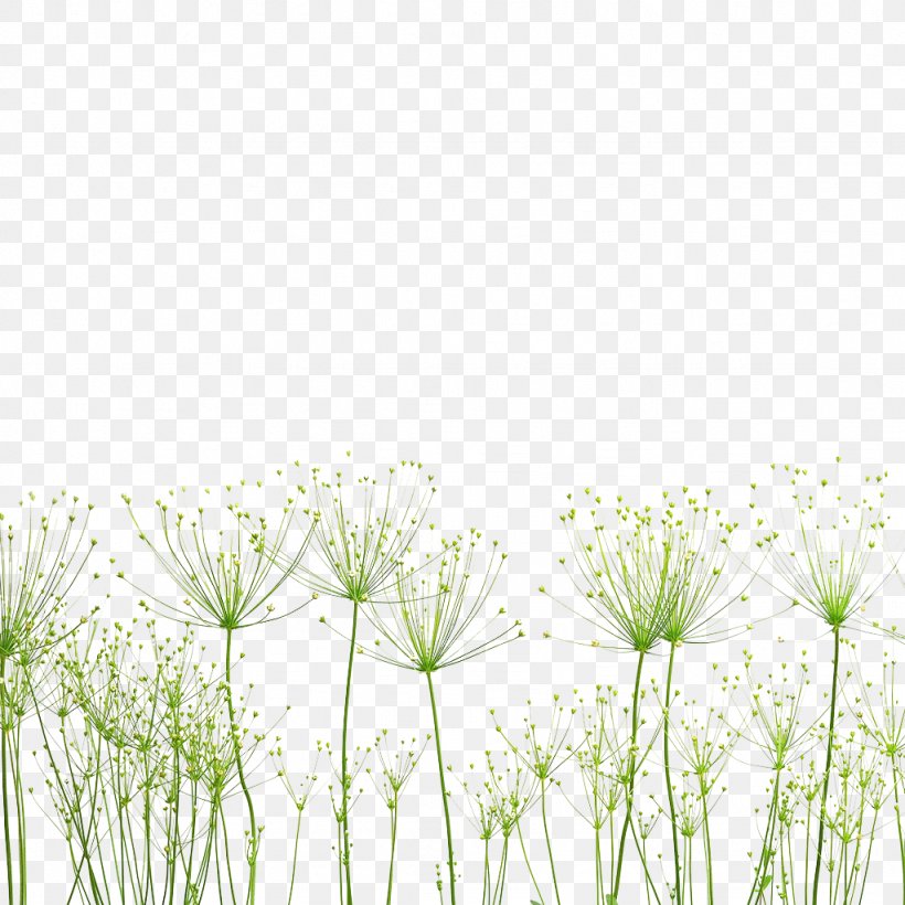Plant Nature Dandelion, PNG, 1024x1024px, Plant, Dandelion, Ecosystem, Factory, Flower Download Free