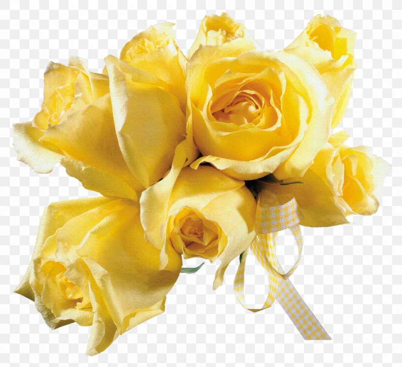 Yellow Garden Roses Photography Beach Rose, PNG, 1000x913px, Yellow, Animation, Beach Rose, Blingee, Color Download Free