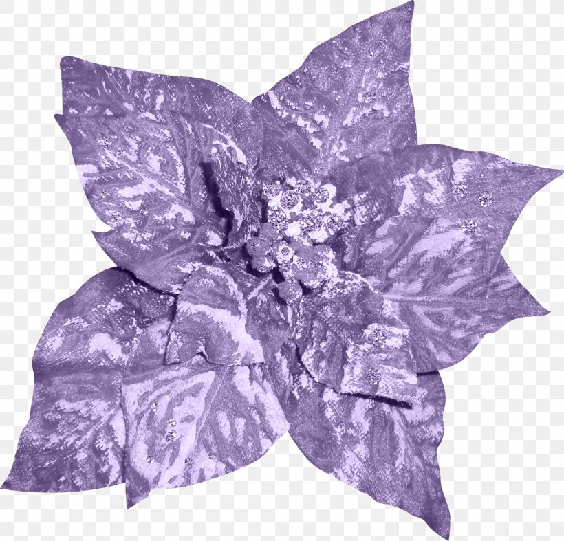 Bokmxe4rke Christmas Yandex Clip Art, PNG, 1500x1440px, Christmas, Flower, Leaf, Lilac, Material Download Free