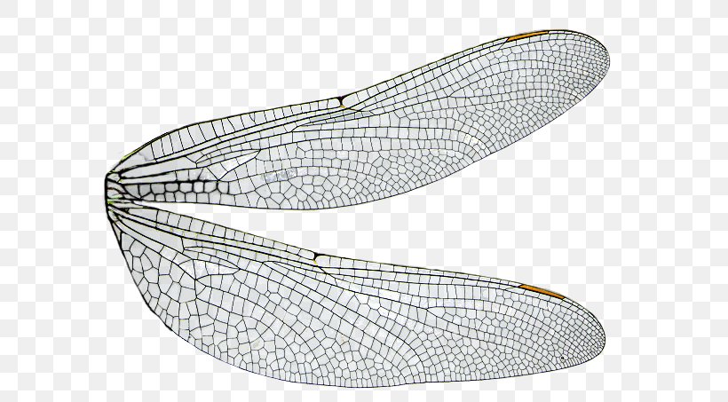 Dragonfly Insect Wing, PNG, 612x453px, Dragonfly, Chicken, Computer Monitors, Display Device, Fairy Download Free