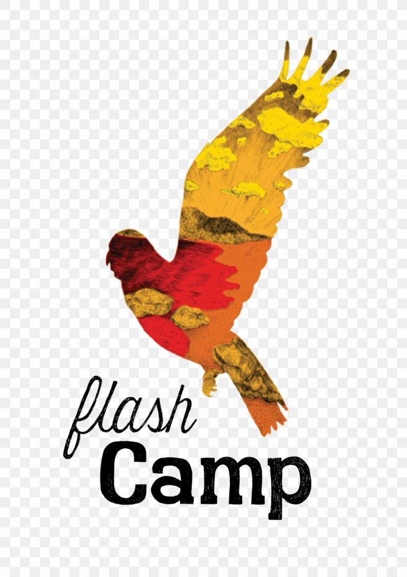 Flash Camp Kakadu National Park Falls Festival Byron Bay 2018 Camping, PNG, 1000x1415px, Kakadu National Park, Accommodation, Beak, Bird, Camping Download Free