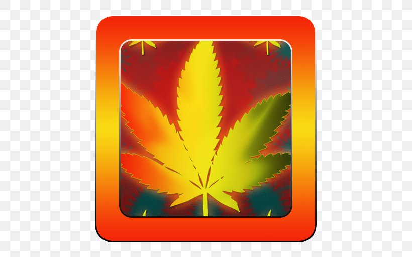 Maple Leaf, PNG, 512x512px, Maple Leaf, Leaf, Tree Download Free