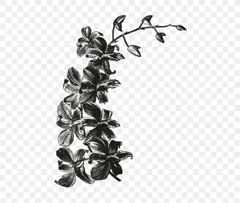 White Leaf Branching Orchids, PNG, 696x696px, White, Black And White, Branch, Branching, Leaf Download Free
