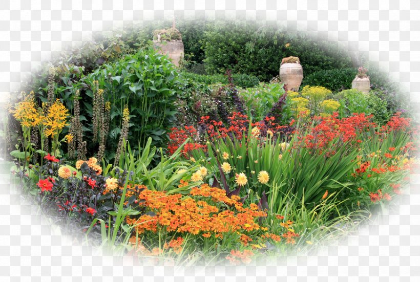 Flower Garden Bylina Gardening, PNG, 872x587px, Flower Garden, Alisons, Annual Plant, Botanical Garden, Bylina Download Free