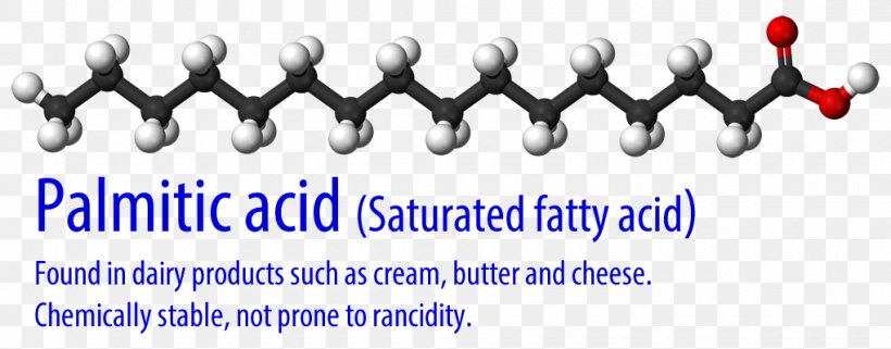 Stearic Acid Saturated Fat Fatty Acid Caprylic Acid, PNG, 1020x400px, Stearic Acid, Acid, Brand, Caprylic Acid, Carboxylic Acid Download Free