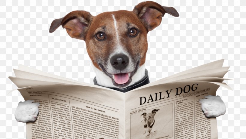 Dog Training Stock Photography Newspaper Veterinarian, PNG, 1024x577px, Dog, Companion Dog, Dog Behavior, Dog Breed, Dog Daycare Download Free