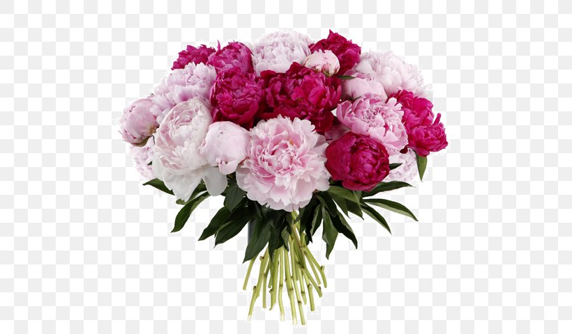 Flower Bouquet Garden Roses Bride Cut Flowers, PNG, 600x480px, Flower Bouquet, Annual Plant, Artificial Flower, Bouqs Company, Bride Download Free