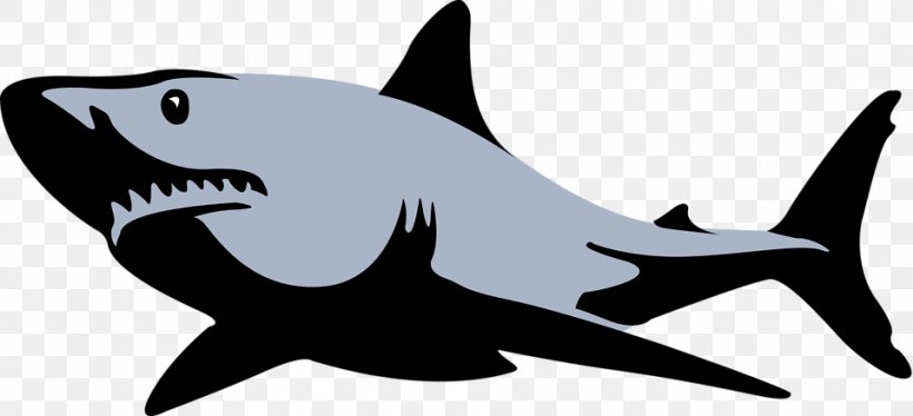 Great White Shark Bull Shark Tiger Shark Clip Art, PNG, 958x437px, Shark, Artwork, Basking Shark, Black And White, Blue Shark Download Free