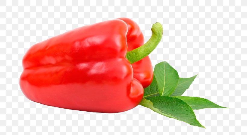 Habanero Piquillo Pepper Bird's Eye Chili Tabasco Pepper Jalapeño, PNG, 740x450px, Habanero, Bell Pepper, Bell Peppers And Chili Peppers, Capsicum, Capsicum Annuum Download Free