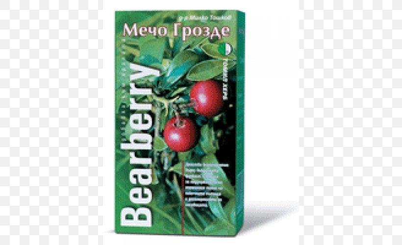 Herbalism Bearberry Food Dietary Supplement, PNG, 500x500px, Herb, Arbutin, Bearberry, Dietary Supplement, Extract Download Free