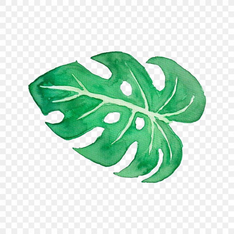 Leaf Watercolor Painting Tropics Clip Art, PNG, 1200x1200px, Leaf, Art, Art Museum, Drawing, Green Download Free