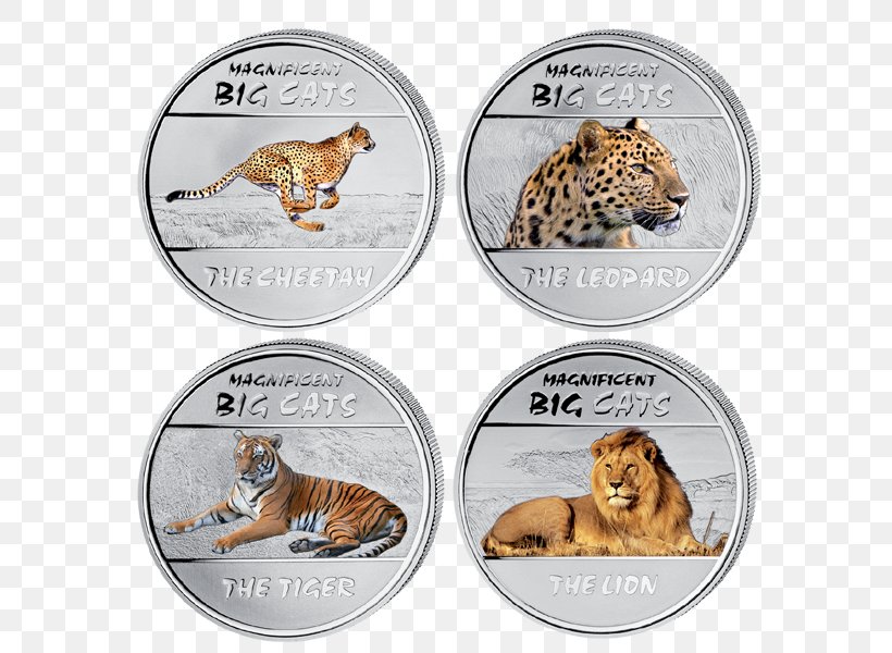 Silver Coin Silver Coin Cat Democratic Republic Of The Congo, PNG, 600x600px, Coin, Big Cat, Big Cats, Cat, Cat Like Mammal Download Free