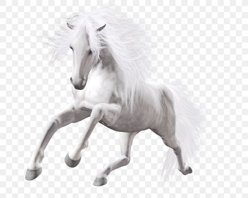 Horse White Stallion, PNG, 683x655px, Lipizzan, American Paint Horse, Black And White, Horse, Horse Like Mammal Download Free