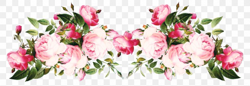 Rose Flower Floral Design Clip Art, PNG, 1597x551px, Rose, Borders And Frames, Cut Flowers, Fashion Accessory, Floral Design Download Free