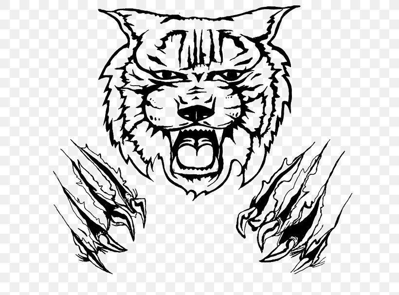Wildcat Drawing Clip Art, PNG, 640x606px, Wildcat, Art, Artwork, Big Cats, Black Download Free
