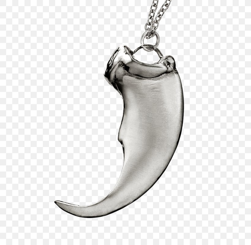 Charms & Pendants Necklace Silver Body Jewellery, PNG, 800x800px, Charms Pendants, Body Jewellery, Body Jewelry, Fashion Accessory, Jewellery Download Free