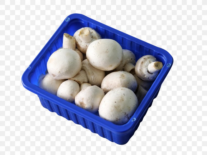 Common Mushroom Shiitake, PNG, 1200x901px, Mushroom, Common Mushroom, Cuisine, Enokitake, Food Download Free