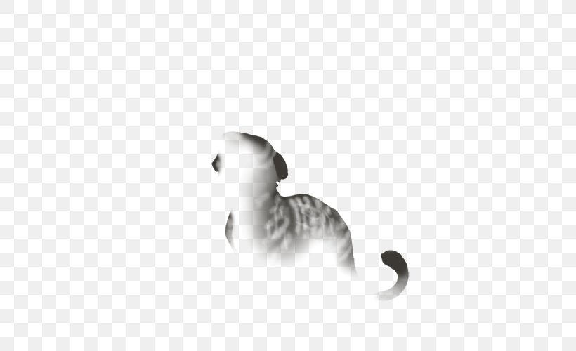 Cat Tail White Black M Font, PNG, 640x500px, Cat, Black, Black And White, Black M, Carnivoran Download Free