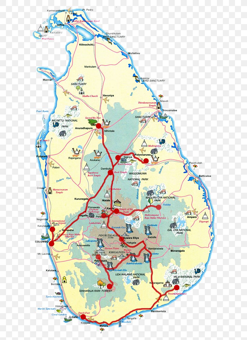 City Map Road Map Colombo Mapa Polityczna, PNG, 700x1129px, Map, Area, City, City Map, Colombo Download Free