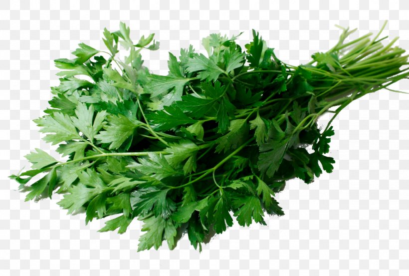 Coriander Stuffing Flat-leaved Parsley Herb, PNG, 1024x691px, Coriander, Cucumber, Fines Herbes, Flatleaved Parsley, Food Download Free