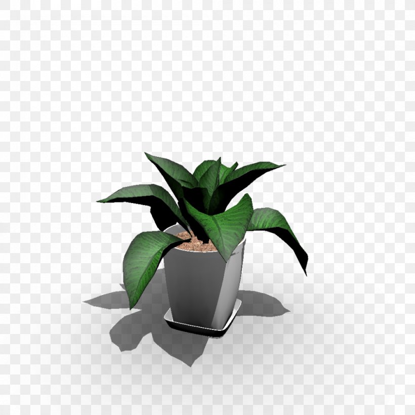 Houseplant Flowerpot Animal Gardening, PNG, 1000x1000px, Houseplant, Agave, Animal, Animal Track, Color Download Free