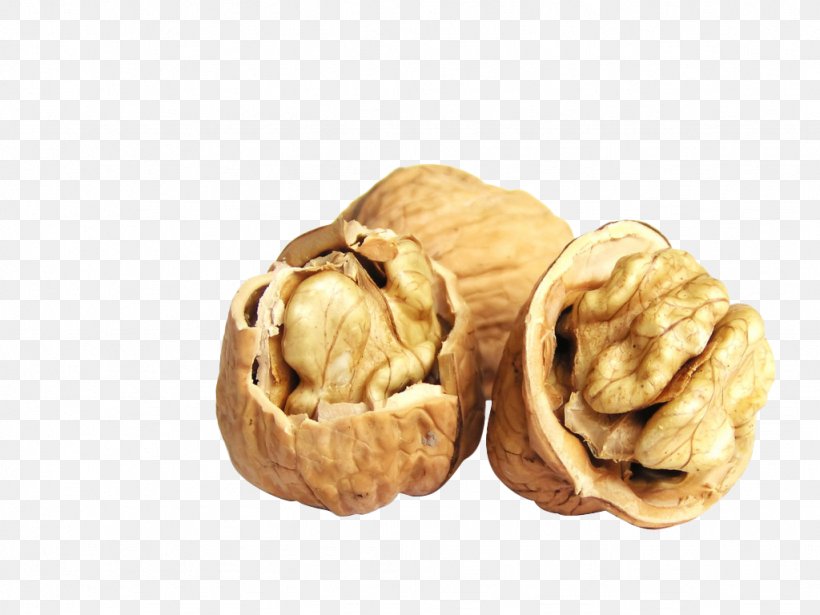 Walnut Food Eating Unsaturated Fat, PNG, 1024x768px, Walnut, Drinking, Eating, Food, Food Drying Download Free