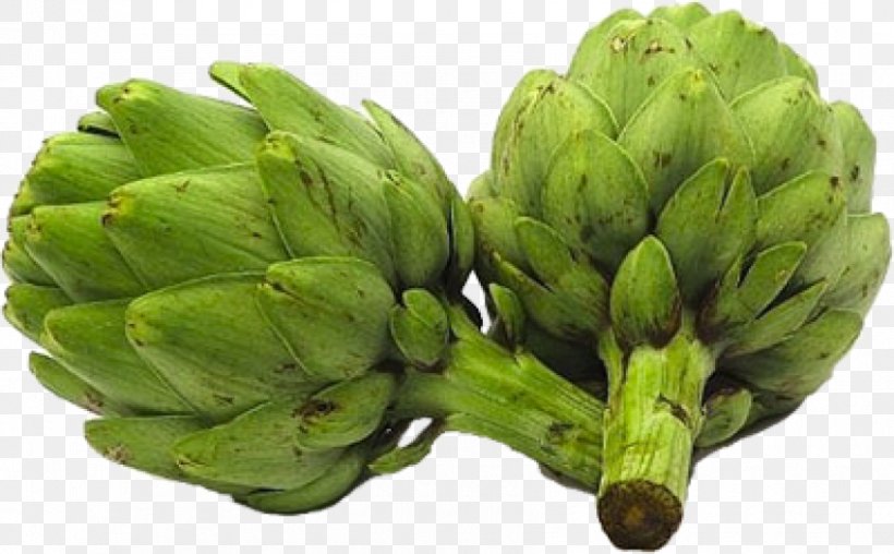 Artichoke Vegetable Food Herb, PNG, 850x527px, Artichoke, Artichoke Extract, Cynara, Dietary Fiber, Food Download Free
