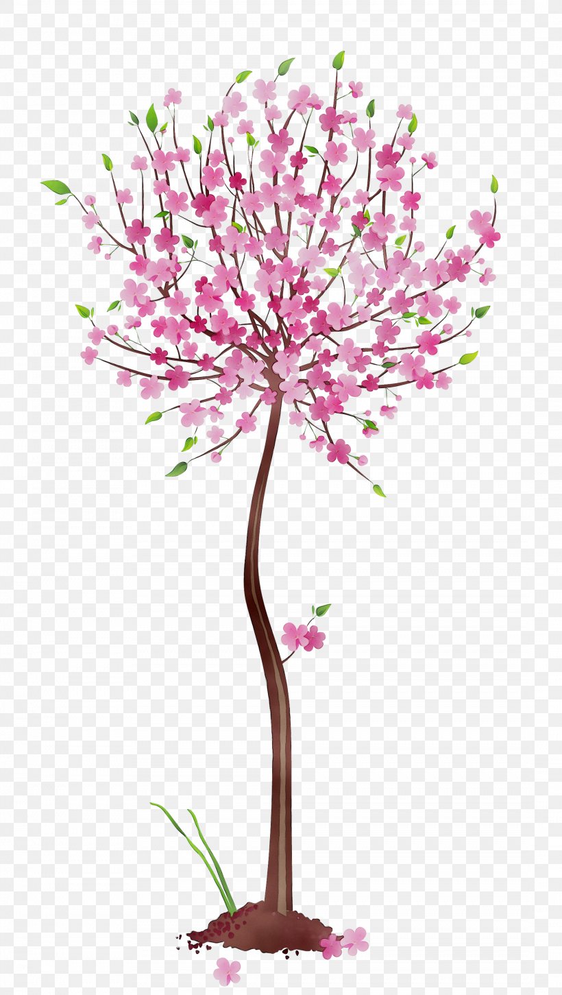 Clip Art Openclipart Illustration Tree, PNG, 2173x3847px, Tree, Botany, Branch, Cut Flowers, Fall Tree Download Free