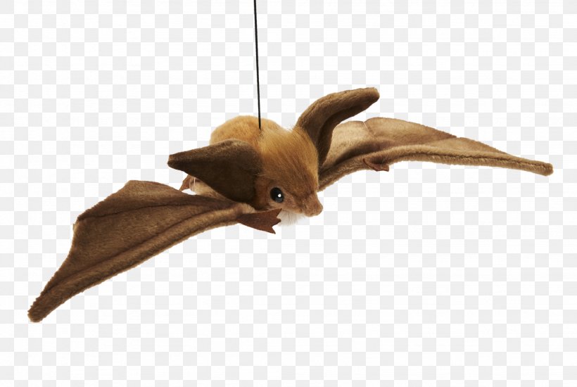 Big Brown Bat Microbat Raccoon Little Brown Bat Animal, PNG, 2048x1374px, Big Brown Bat, Animal, Bat, Common Vampire Bat, Cygnini Download Free