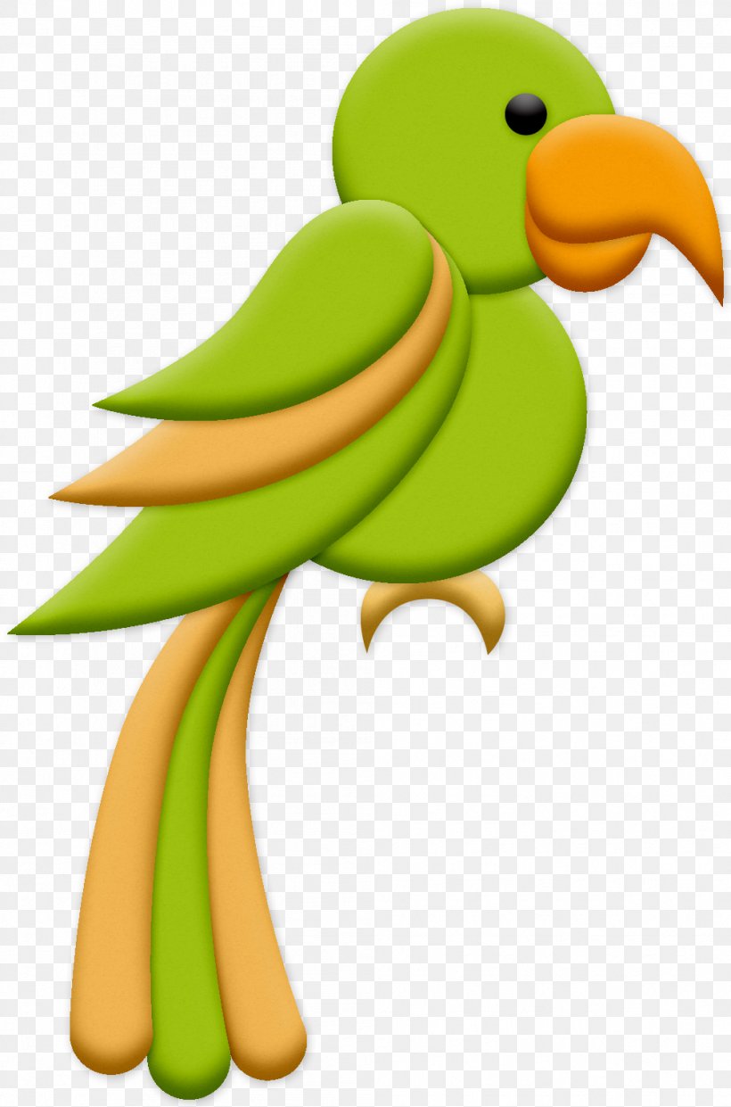 Bird Parrot, PNG, 1003x1518px, Duck, Animal Figure, Beak, Bird, Cartoon Download Free