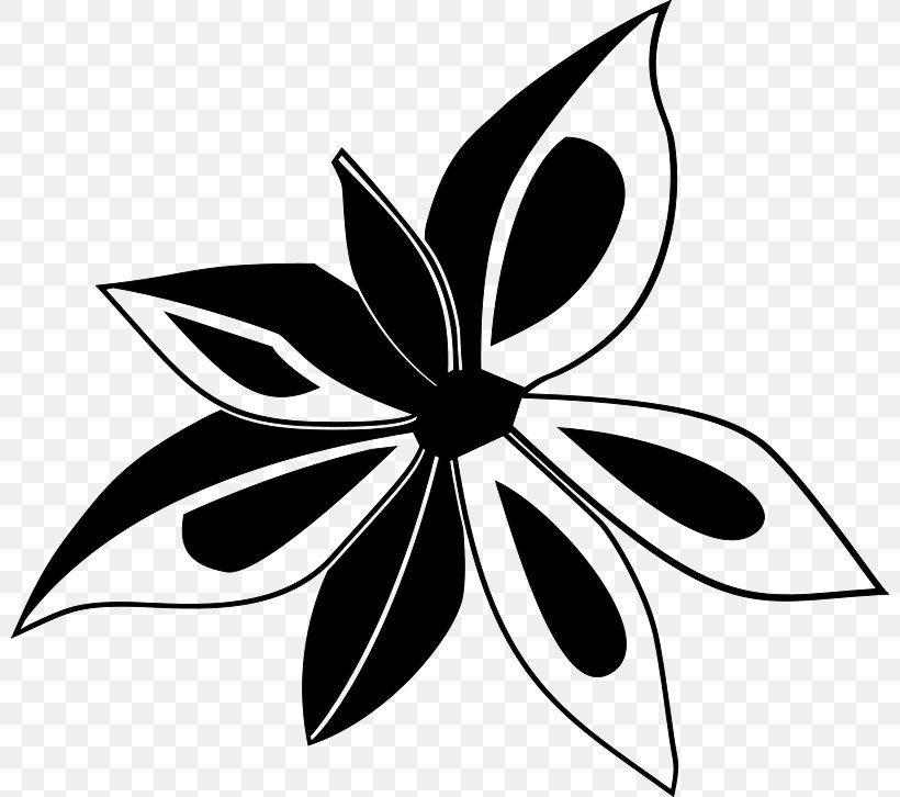 Clip Art Star Anise Vector Graphics, PNG, 800x726px, Anise, Black, Blackandwhite, Botany, Cinnamon Download Free