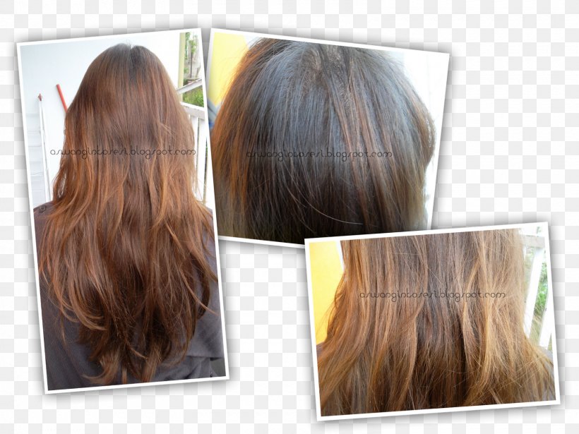 Long Hair Step Cutting Hair Coloring Brown Hair, PNG, 1600x1200px, Long Hair, Blond, Brown, Brown Hair, Hair Download Free