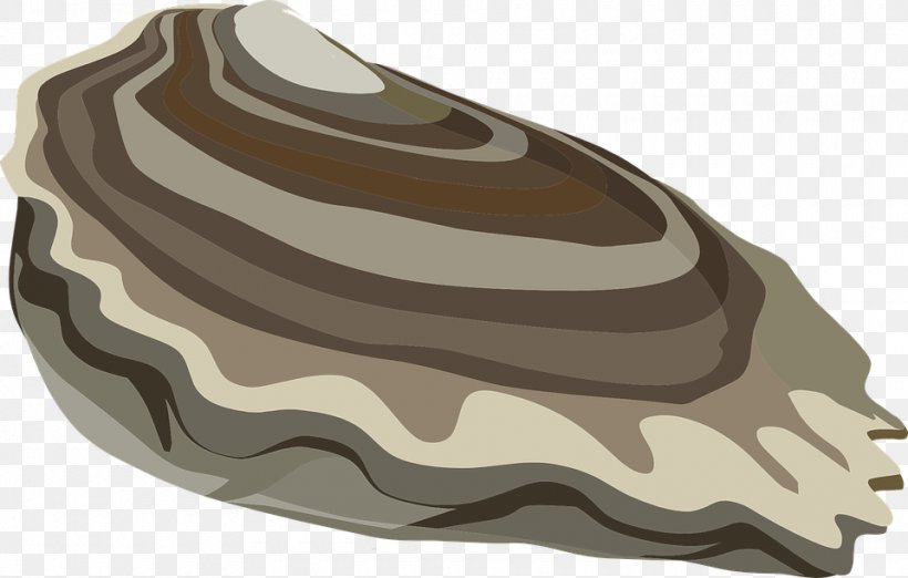 Oyster Clip Art, PNG, 960x612px, Oyster, Clam, Computer, Food, Walking Shoe Download Free