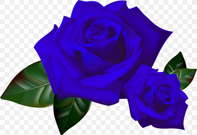 Desktop Wallpaper Rose Clip Art, PNG, 1200x823px, Rose, Animation, Blue, Blue Rose, Cobalt Blue Download Free