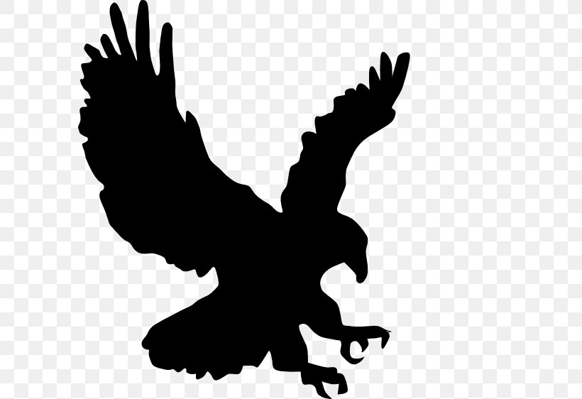 Bird Cricut Eagle AutoCAD DXF, PNG, 600x562px, Bird, Accipitriformes, Autocad Dxf, Beak, Bird Of Prey Download Free