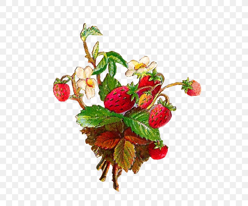 Wild Strawberry Strawberry Pie Fruit Clip Art, PNG, 629x679px, Strawberry, Berry, Blue Raspberry Flavor, Cut Flowers, Floral Design Download Free