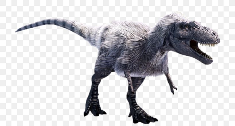 Dinosaur - Albertosaurus Tyrannosaurus Daspletosaurus Gorgosaurus Nanotyrannus PNG