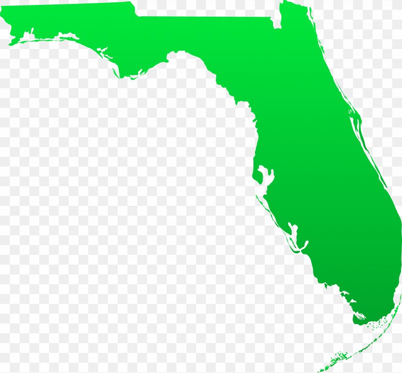 Florida State University U.S. State Court Map Clip Art, PNG, 6122x5688px, Florida State University, Area, Court, Florida, Florida State Seminoles Download Free