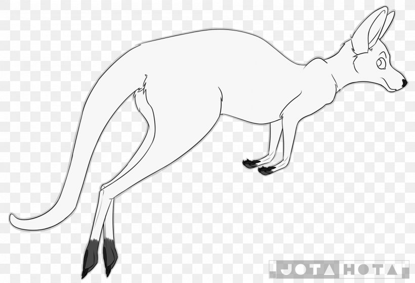 Fox Kangaroo Macropodidae Line Art Drawing, PNG, 2000x1361px, Watercolor, Cartoon, Flower, Frame, Heart Download Free