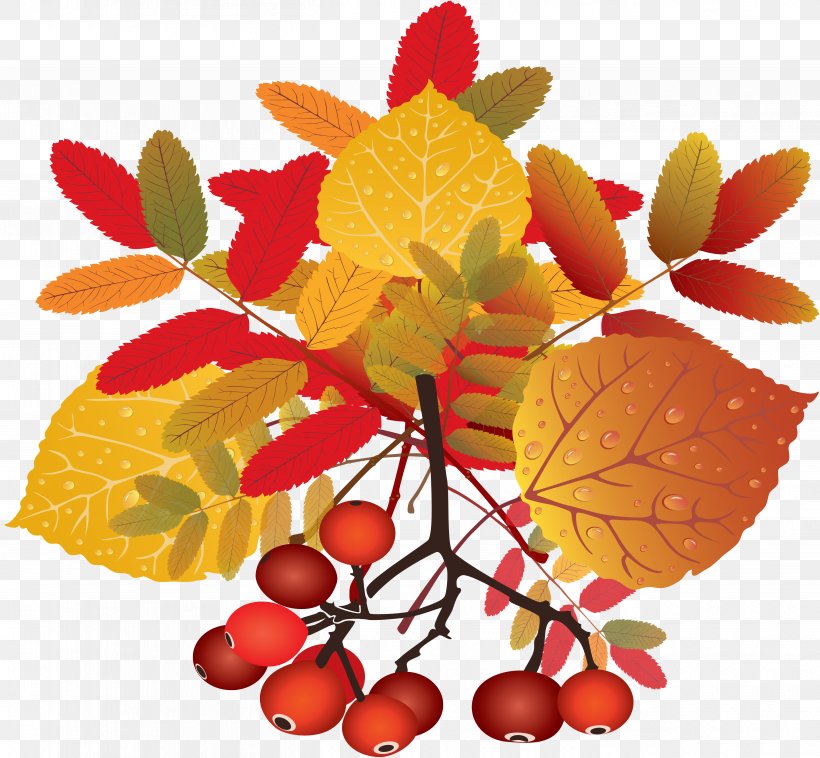 Leaf, PNG, 5217x4823px, Leaf, Autumn, Computer Graphics, Food, Fruit Download Free
