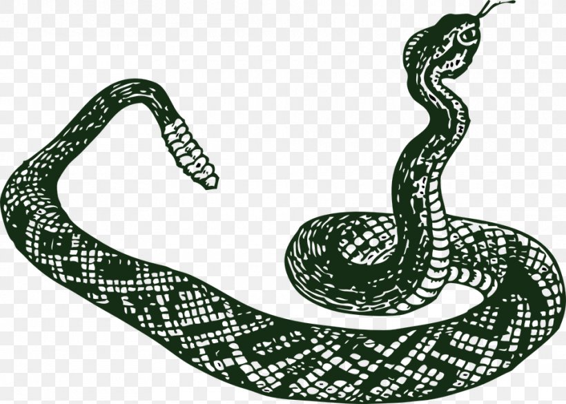 Rattlesnake Vipers Clip Art, PNG, 960x685px, Snake, Boa Constrictor, Boas, Drawing, Kingsnake Download Free