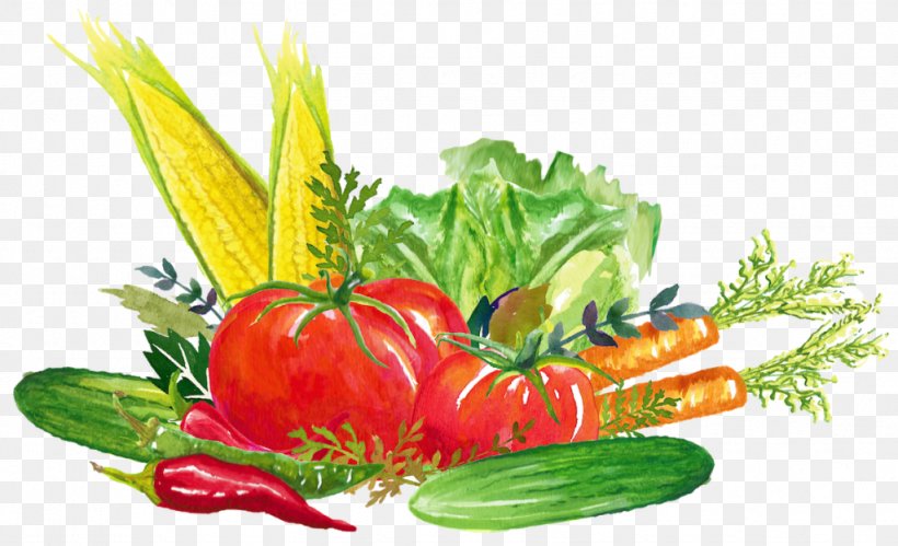 Tomato Organic Food Vegetarian Cuisine Leaf Vegetable, PNG, 1024x624px, Tomato, Diet Food, Food, Fruit, Fruit Vegetable Download Free