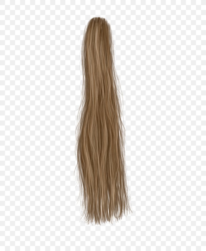 Brown Hair Blond Long Hair, PNG, 400x1000px, Brown Hair, Bangs, Blond, Color, Hair Download Free
