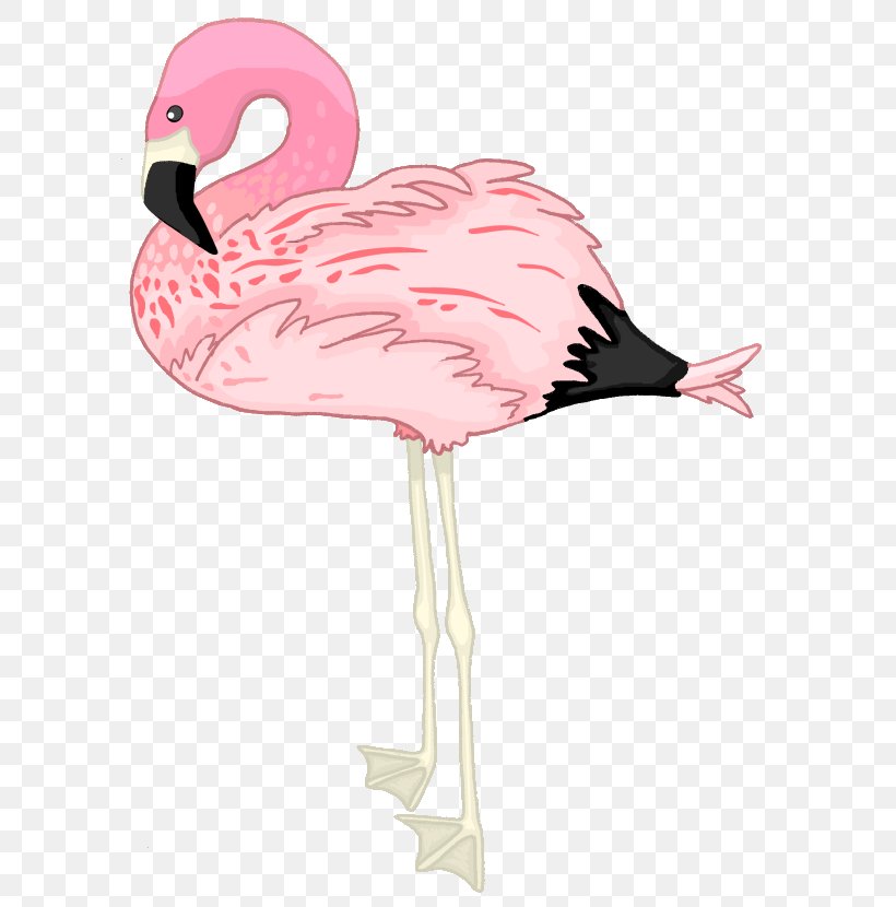 Flamingo Drawing Clip Art, PNG, 600x830px, Flamingo, Andean Flamingo, Beak, Bird, Black And White Download Free