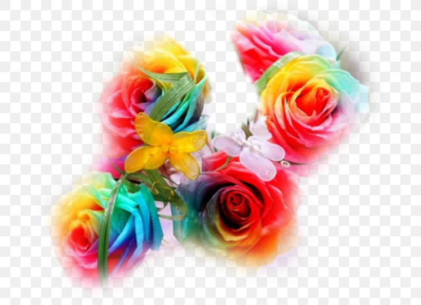 Rainbow Rose Garden Roses Cut Flowers, PNG, 692x594px, Rainbow Rose, Artificial Flower, Cut Flowers, Floral Design, Floristry Download Free